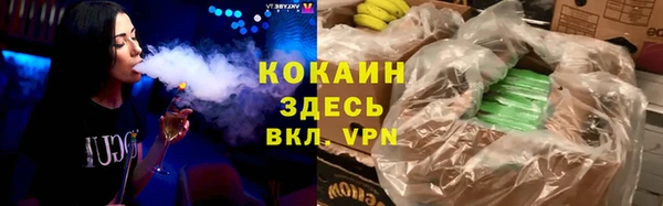 винт Дмитриев