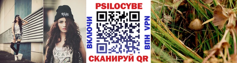 Галлюциногенные грибы GOLDEN TEACHER гидра Алейск